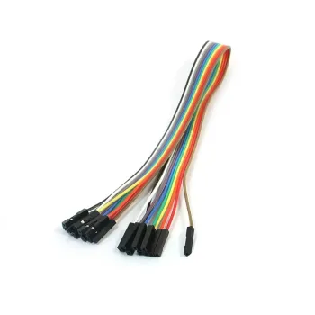 Fire Jumper cu 10 Pini femelă-femelă-30cm